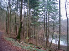 Blick auf den Baasee.