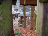 Blick zwischen den Zaunpfosten des noch verschlossenen Eingangstors.                      auf das Areal de Schenke.