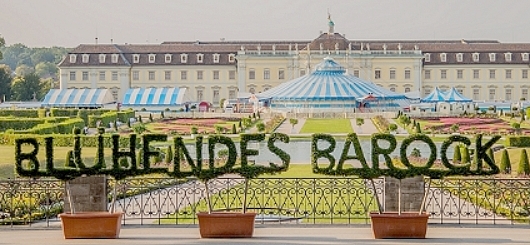 Circus Roncalli vor Blühendem Barock