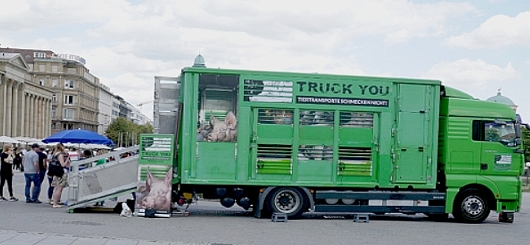 der umgebaute Tiertransporter in Stuttgart