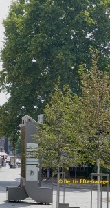 City Tree am Charlottenplatz
