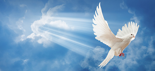 Kampf für das Christentum - heute in Deutschland nötig Kampf für das Christentum - heute in Deutschland nötig