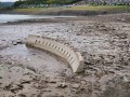 Freigelegtes Modell der Staumauer 