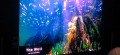 Mikro-LED bei Samsung: The wall