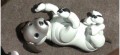 Aibo beim Spielen