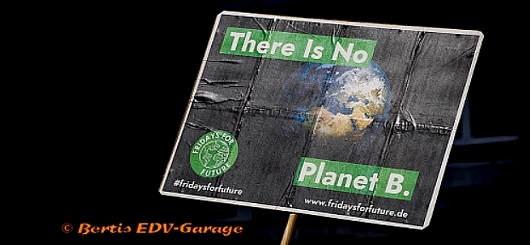 #fridaysforfuture