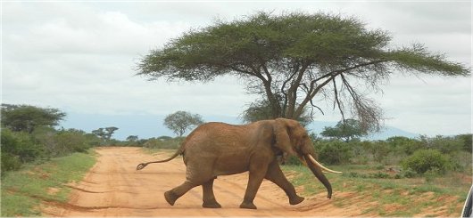 Namibia National Parks Namibia National Parks