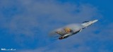 Boeing F/A-18 Swiss Air Force J-5011