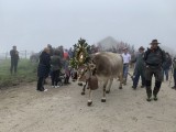 Auf dem Weg ins Tal begleitet von den Besitzern und Besuchern.