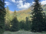 Wunderbare Landschaften im gesamten Tuxertal.