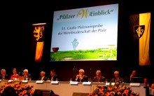 Pfälzer Weinblick