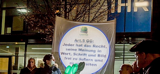 Wenn der Kaktus sticht ...