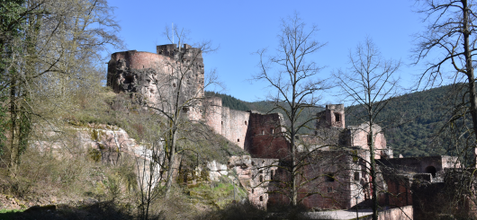 Die Hardenburg im Frühling