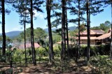 Zen-Kloster Thien Vien Truc Lam Bild: Ekkehard Boldt