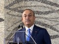  Turkish Foreign Minister Mevlut Cavusoglu