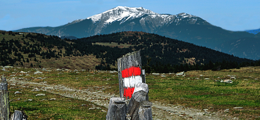 In Österreich liegen die Nerven blank