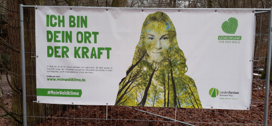 Kraftort Wald