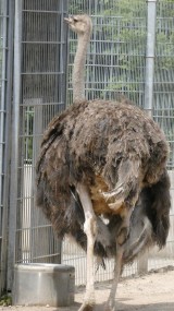 Was ist denn da drin ?