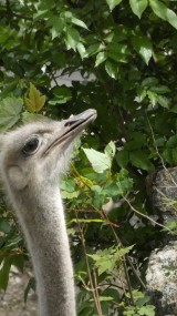 Hallo, wer da ?