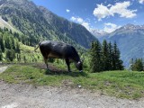 Entspannen auf der Alm