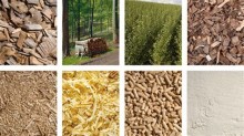 Energieversorgung und Bioenergie