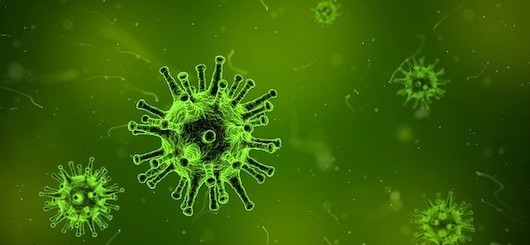 Virus-Schemabild