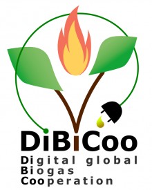 Das Projekt DiBiCoo