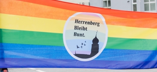 Herrenberg bleibt bunt, Motto der Gegenkundgebung