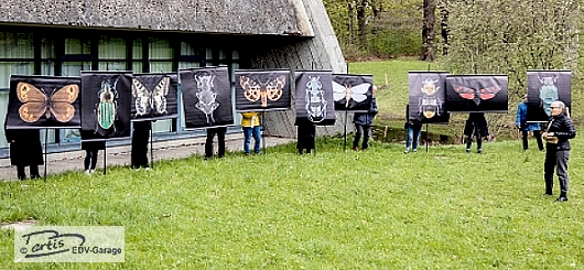 Caro Krebietke vor den Fotos der Insekten