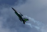 Belgian Dream Viper