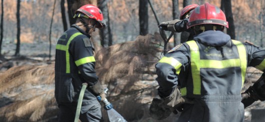 Sapeurs du 2eme régiment étranger du génie  sur l'incendie de landiras (gironde)