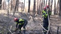 Sapeurs du 2eme régiment étranger du génie  sur l'incendie de landiras (gironde)