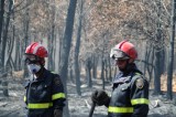 Sapeurs du 2eme régiment étranger du génie  sur l'incendie de landiras (gironde)