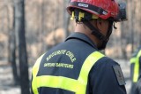 Sapeurs du 2eme régiment étranger du génie  sur l'incendie de landiras (gironde)