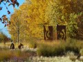 Der Herbst im Seepark Zülpich zeigt sich von seiner schönsten Seite. Foto: Seepark Zülpich 