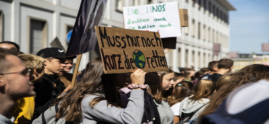 Da sind unsere Klimafreunde, demonstrieren tun sie gerne, selber mithelfen Fehlanzeige