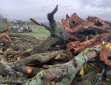 Astschnittberg auf der Streuobstwiese in Bretten
