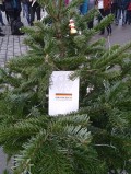 Weihnachtsbaum mit Grundgesetz in sich, Sinnbild für das Hauptanliegen Ballwegs und aller 'Querdenker', JVA Stuttgart