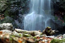 Wasserfall 1