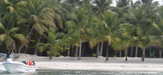 Isla Saona: eine Reise ins Paradies