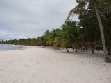 Bilder von Isla Saona