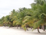 Bilder von Isla Saona