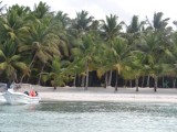 Bilder von Isla Saona
