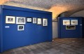 Works by Vittorio Basaglia