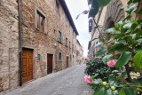 Una strada caratteristica della città