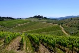 View of the Chianti hills