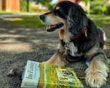 Gute Literatur aus dem Antiquariat