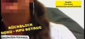 Bild Undercover Recherche / MPU KING