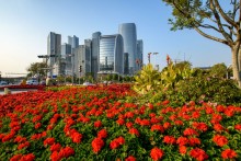 Doha