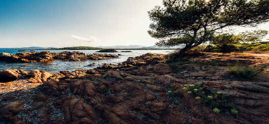 Porquerolles
